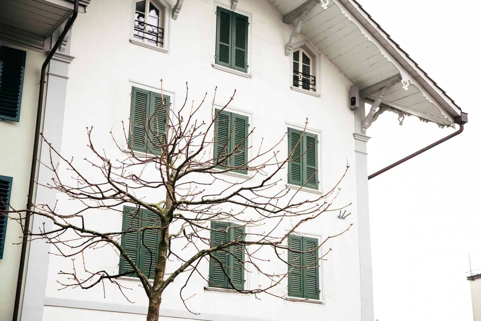 Nimbuzzz Apartments Unterseen Zewnętrze zdjęcie